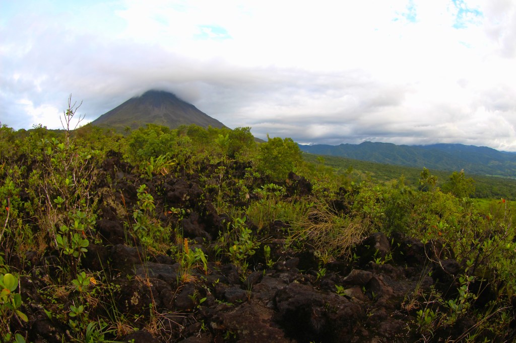 Side Mission: Aamar and Saffron go on a&nbsp;chase