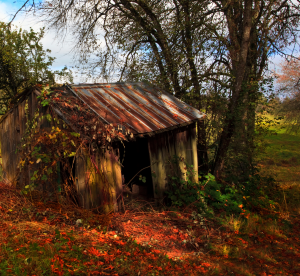 Original by Ian Sane at https://flic.kr/p/aAvcFL