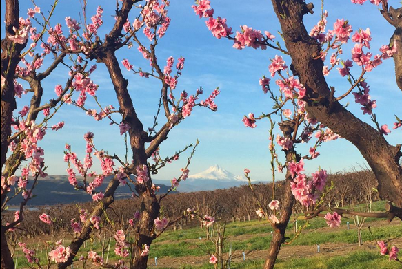 Session 5 Raiding the Cult of&nbsp;Nak