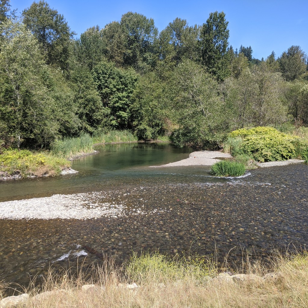 Community Character – Tatiana&nbsp;Riverhopper